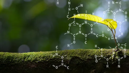 Biochemistry A (Introduction) (Plants) Online Course