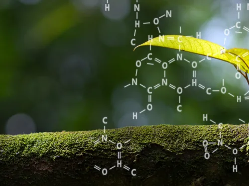 Biochemistry A (Introduction) (Plants) Online Course