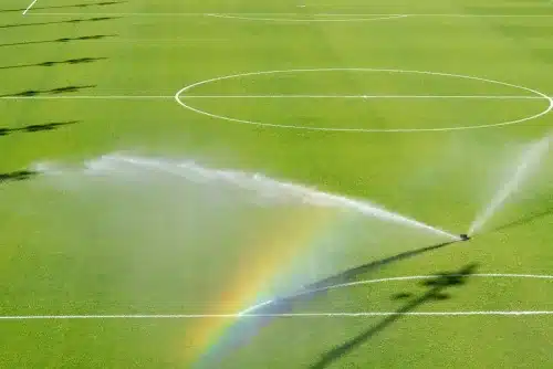 Sports field with beautiful turf!