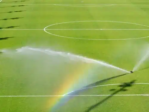 Sports field with beautiful turf!