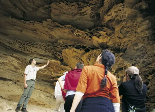Ecotour Management Online Course