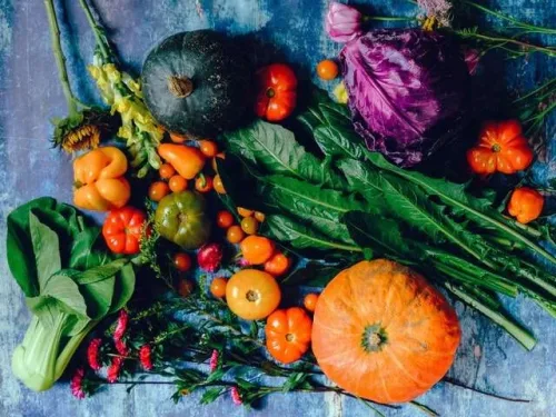 Short Course in Fruits and Vegetables