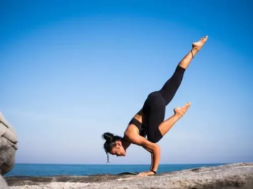 Muscles and Movement