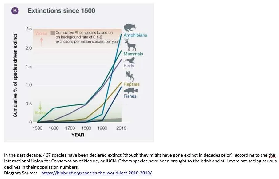 Species the World Lost