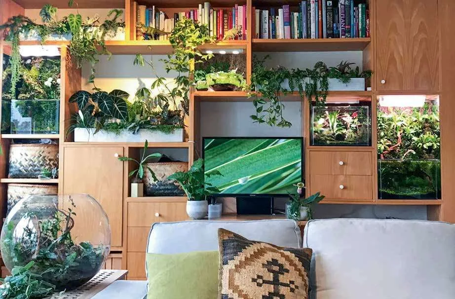 Interior (Indoor) Plant 2