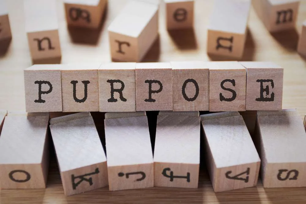 Purpose and learning.