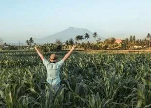 Farm Tourism