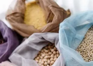 Legumes