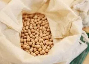 Edible Legumes