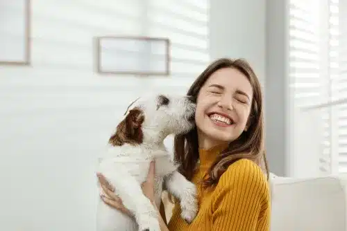 Pet Therapy (Animal-assisted) Course Online
