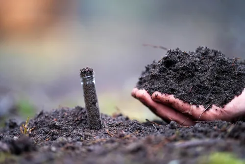 Improve your soil health with this soil microbiome course online.