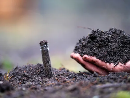 Improve your soil health with this soil microbiome course online.