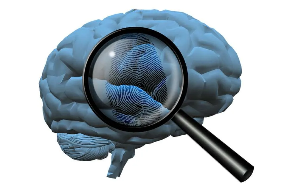 Learn about the brain and different disorders in this neuropsychology course online.