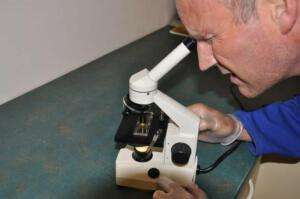Fecal Worm Egg