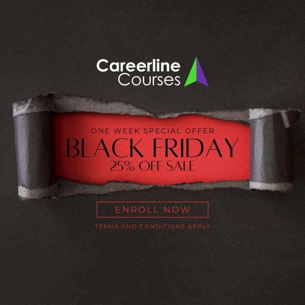 Black Friday Sale