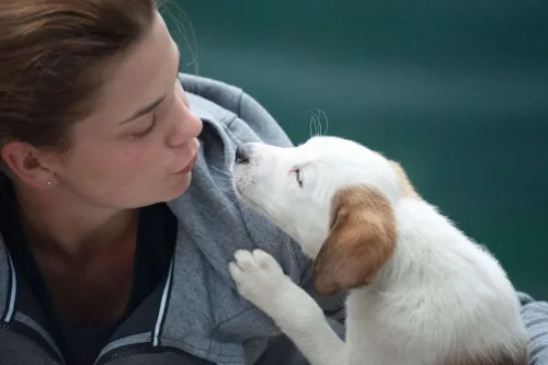 Woman caring for a puppy.