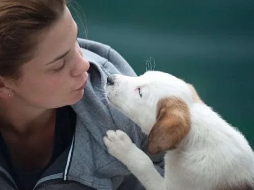Animal and Pet Care Courses