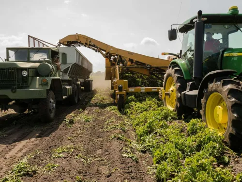 Agriculture Courses Online