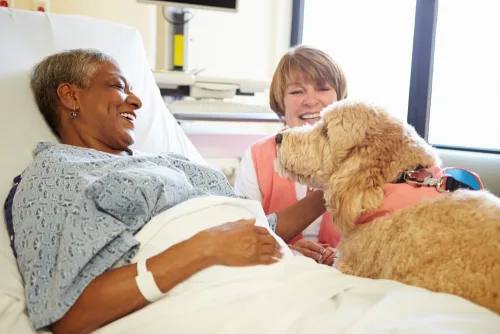 A dog providing therapy.