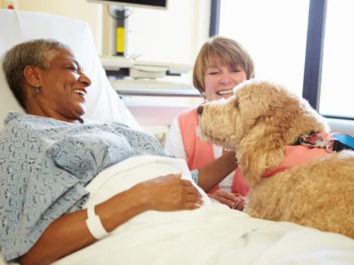 A dog providing therapy.